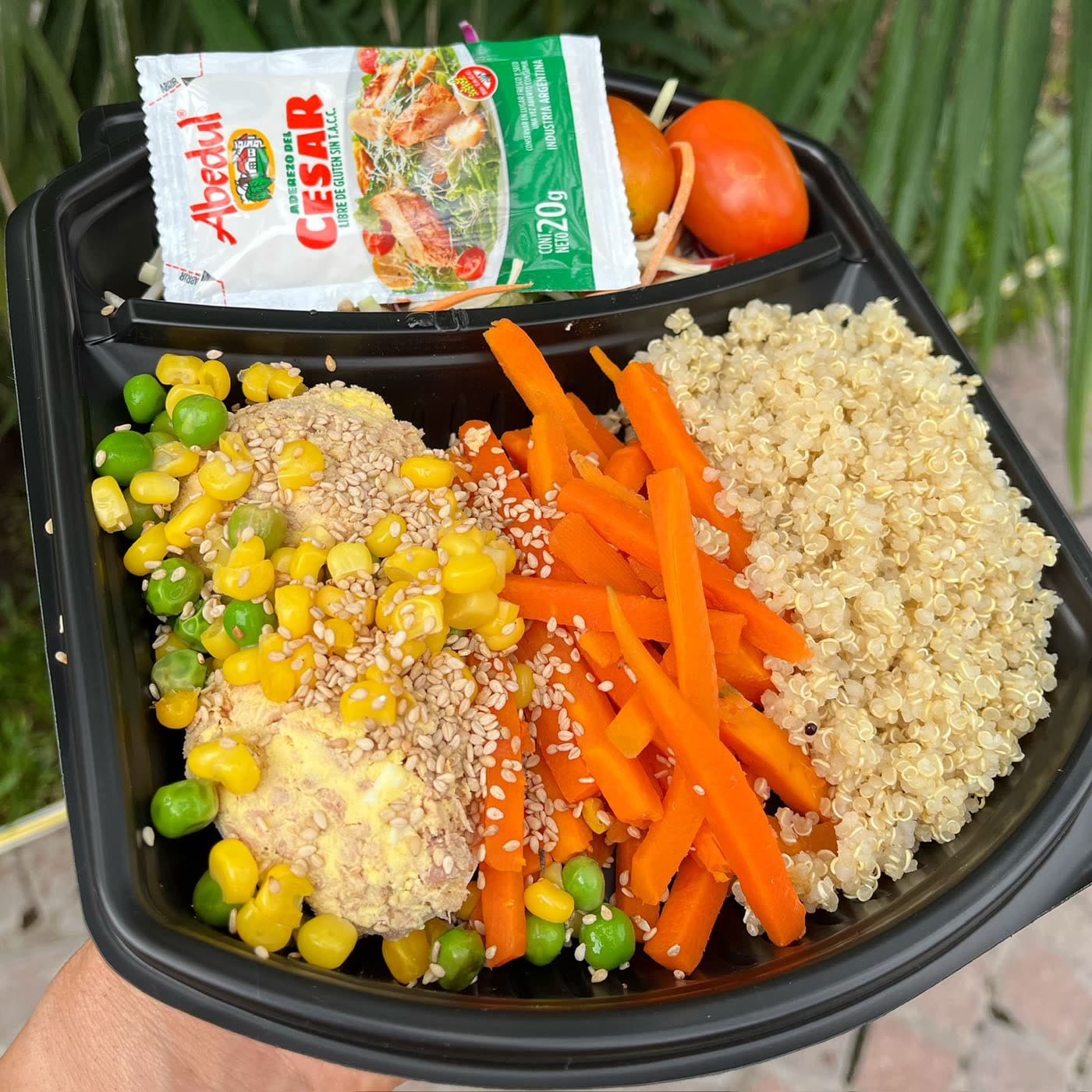 Vianda saludable Sports Food – proteína y vegetales frescos
